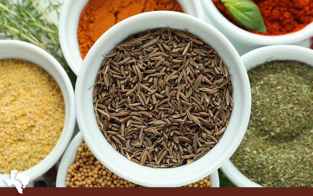 The Main Spices in Brazilian Cooking